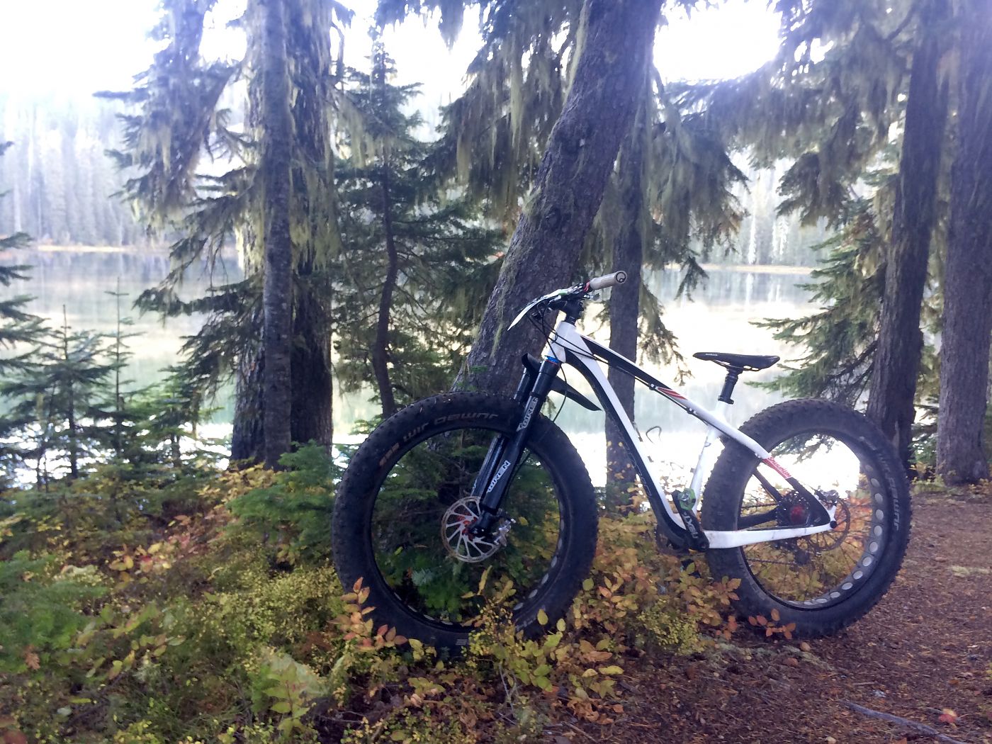 Wren announces new French distributor and new OE spec for fat bike